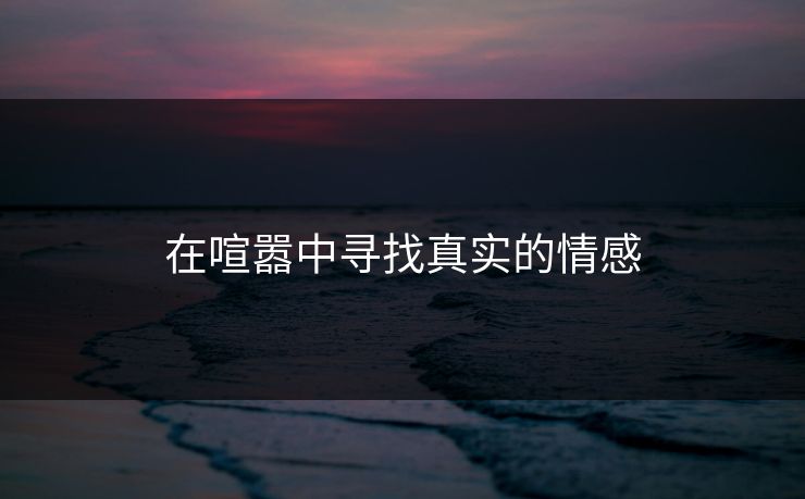 在喧嚣中寻找真实的情感