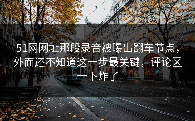 51网网址那段录音被曝出翻车节点，外面还不知道这一步最关键，评论区一下炸了