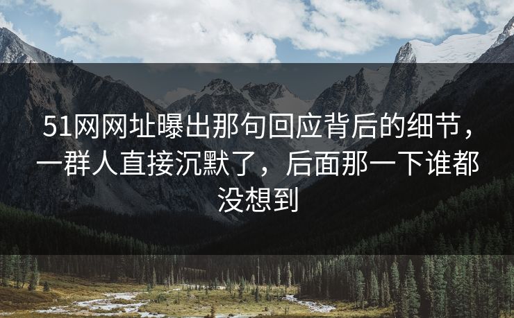 51网网址曝出那句回应背后的细节，一群人直接沉默了，后面那一下谁都没想到