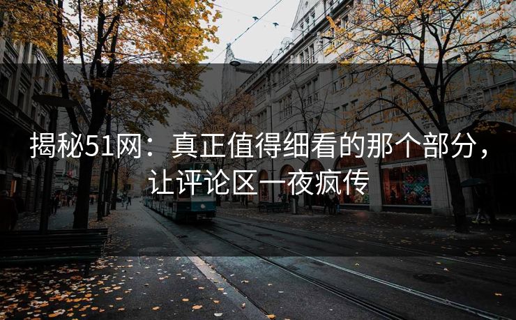 揭秘51网：真正值得细看的那个部分，让评论区一夜疯传