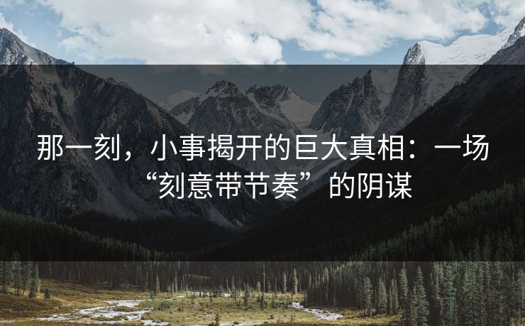 那一刻，小事揭开的巨大真相：一场“刻意带节奏”的阴谋