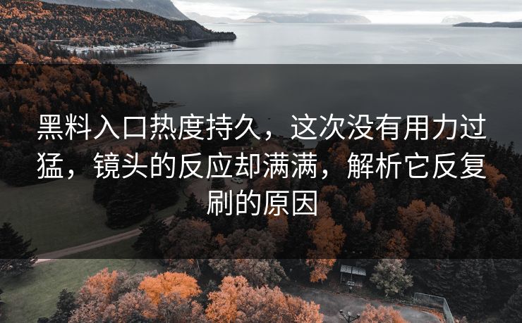 黑料入口热度持久，这次没有用力过猛，镜头的反应却满满，解析它反复刷的原因
