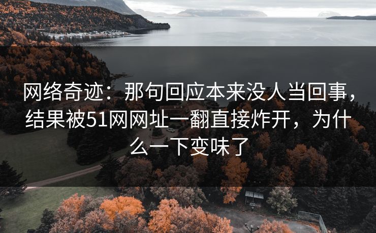 网络奇迹：那句回应本来没人当回事，结果被51网网址一翻直接炸开，为什么一下变味了