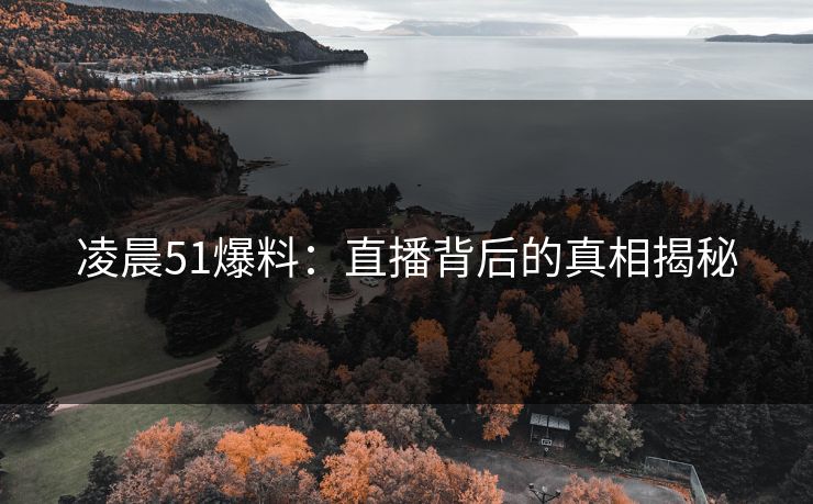 凌晨51爆料：直播背后的真相揭秘